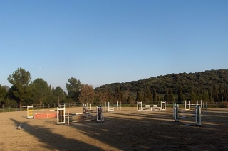  Field obstacles 
